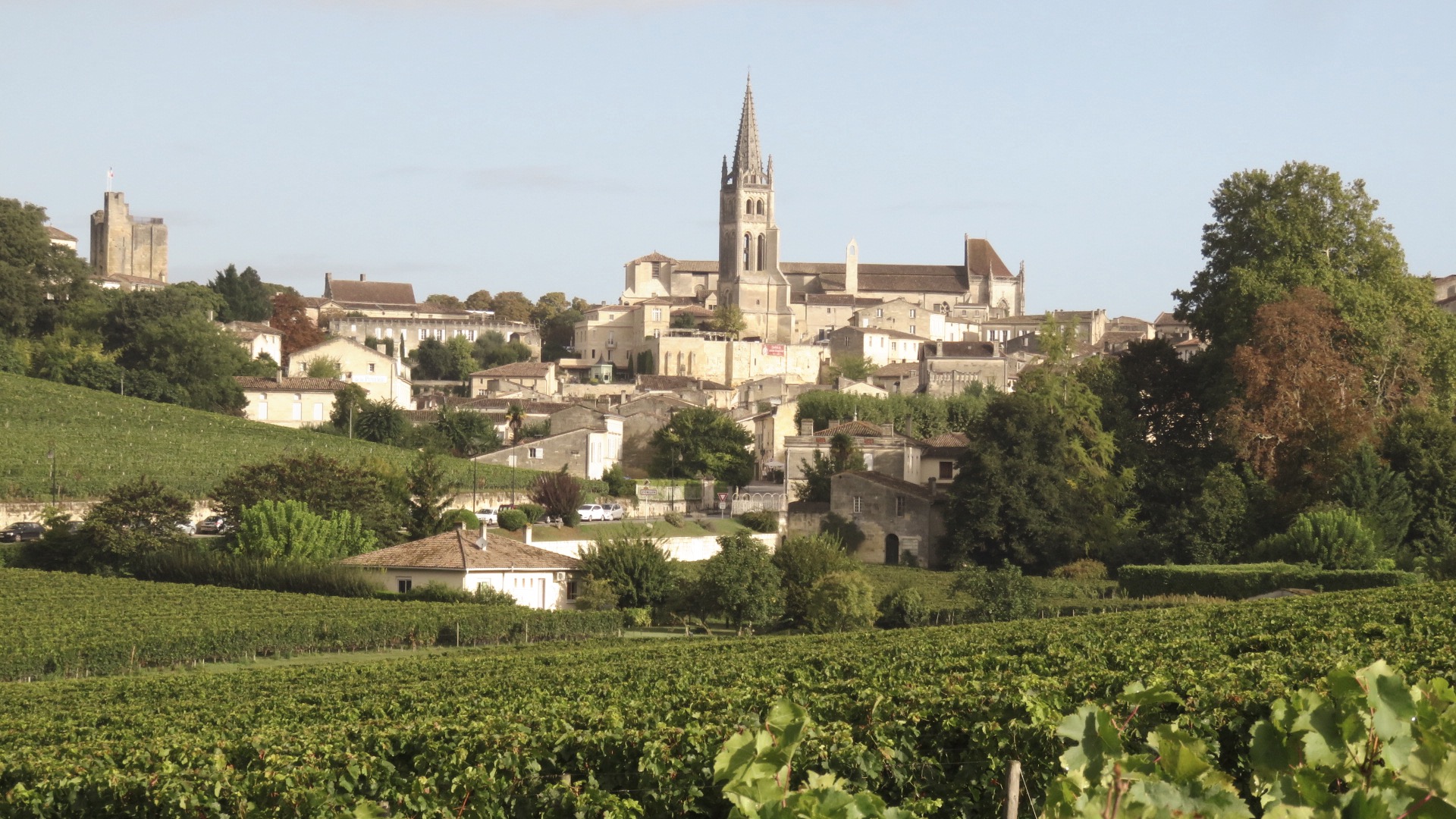 Vue de Saint Emilion